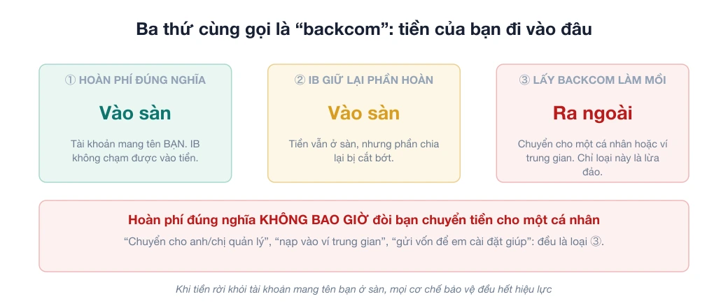 Sơ đồ ba thứ cùng gọi là backcom: hoàn phí đúng nghĩa và IB giữ lại phần hoàn đều có tiền nằm ở sàn, còn loại lấy backcom làm mồi đòi chuyển tiền ra ngoài cho một cá nhân hoặc ví trung gian